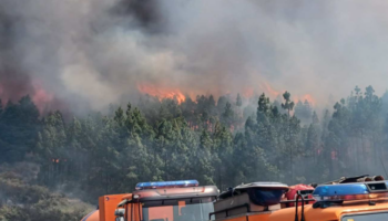 Gran Canaria encara un fin de semana con riesgo de incendio y temperaturas que podrían superar los 40 grados