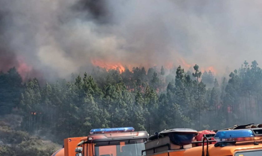 Gran Canaria encara un fin de semana con riesgo de incendio y temperaturas que podrían superar los 40 grados