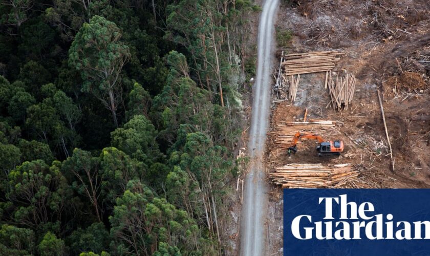 Greens drop climate trigger demand in attempt to restart Nature Positive talks with Labor