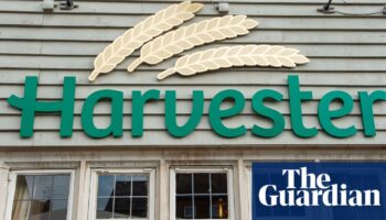 Harvester and Toby Carvery owner says it will take £100m hit from tax changes