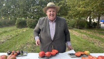 Huerta Carabaña y el rescate del sabor perdido: tomates, verduras, aceite... que compran particulares, la Casa Real y hasta el Papa