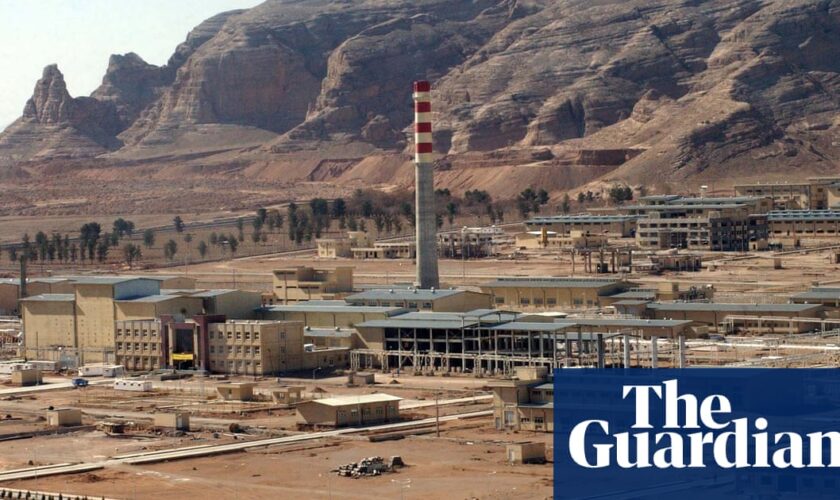 Iran has offered to keep uranium below purity levels for a bomb, IAEA confirms