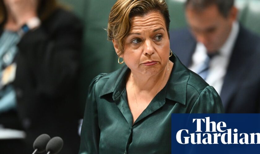 Labor dumps misinformation bill after Senate unites against it