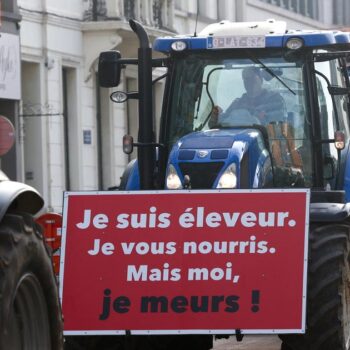 «Le but n’est pas d’emmerder les Français»: la colère du monde agricole entre actions symboliques et revendications profondes