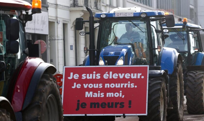 «Le but n’est pas d’emmerder les Français»: la colère du monde agricole entre actions symboliques et revendications profondes