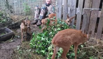 Le refuge pour animaux sauvages publie sa liste de Noël… sur Amazon : « Les gens savent ce qu’ils donnent »