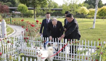 Leones africanos, limusinas y caballos por soldados norcoreanos: los intercambios entre Putin y Kim Jong-un