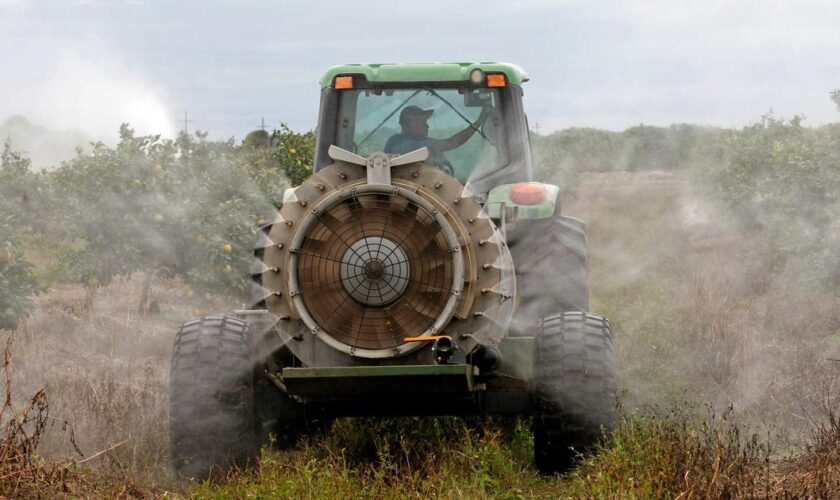 Les pesticides autorisés en Europe devraient «l’être également en France», insiste la ministre de l’Agriculture