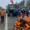 Los agricultores franceses vuelven a movilizarse en toda Francia