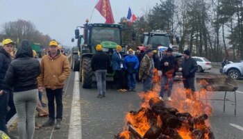 Los agricultores franceses vuelven a movilizarse en toda Francia