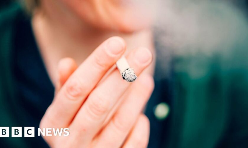 MPs back plans for phased smoking ban