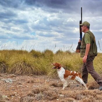 Madrid tendrá su primera ley de caza y pesca, actualizará las sanciones y prohibirá cazar a menos de 150 metros de caminos y carreteras