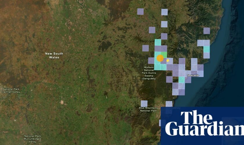 Magnitude-4.1 earthquake near Muswellbrook likely part of ‘swarm’ that could see ‘hundreds to thousands’ of shocks