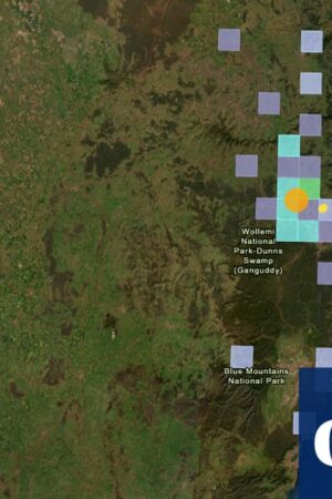 Magnitude-4.1 earthquake near Muswellbrook likely part of ‘swarm’ that could see ‘hundreds to thousands’ of shocks