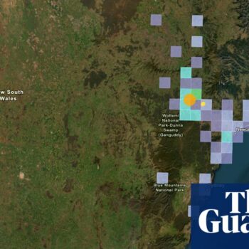 Magnitude-4.1 earthquake near Muswellbrook likely part of ‘swarm’ that could see ‘hundreds to thousands’ of shocks