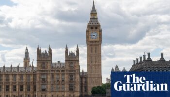 Man arrested after reports of person with knives outside UK parliament