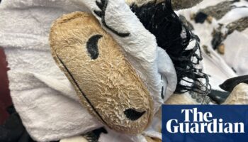 Man charged after allegedly trying to smuggle meth-soaked cow onesie on flight to Australia