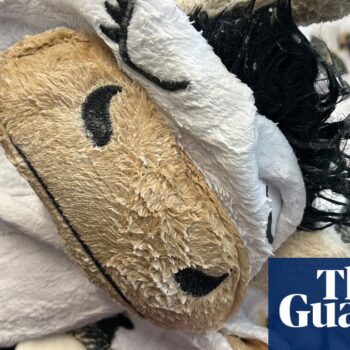 Man charged after allegedly trying to smuggle meth-soaked cow onesie on flight to Australia