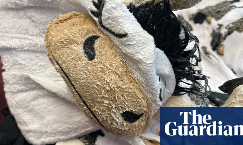 Man charged after allegedly trying to smuggle meth-soaked cow onesie on flight to Australia