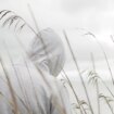 Meditación desde la zona cero de Valencia: Cómo cultivar la calma en situaciones difíciles