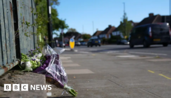 Met officers investigated over woman's crash death