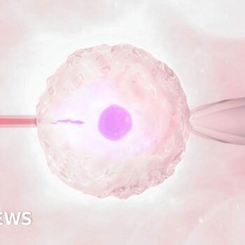 More single women and female couples having IVF