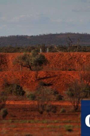 More than half of Australia sweats through heatwave as BoM forecasts more scorching temperatures