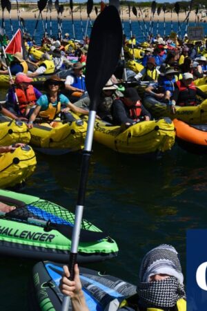 NSW government bid to prevent Rising Tide protest in Newcastle harbour invalid, court finds