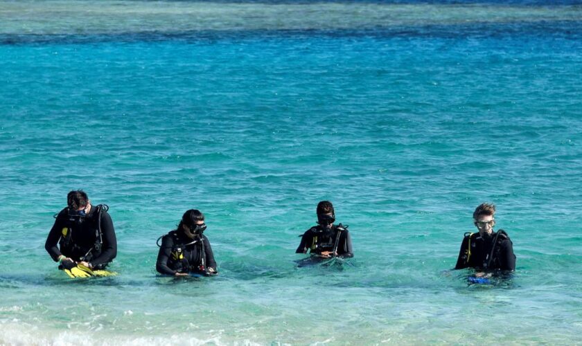 Naufrage en Égypte : «La mer Rouge est le supermarché des croisières de plongée»