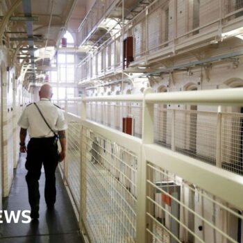 New plans unveiled for early prisoner release