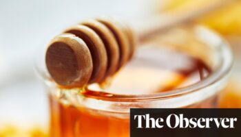 Nine in ten honey samples from UK retailers fail authenticity test