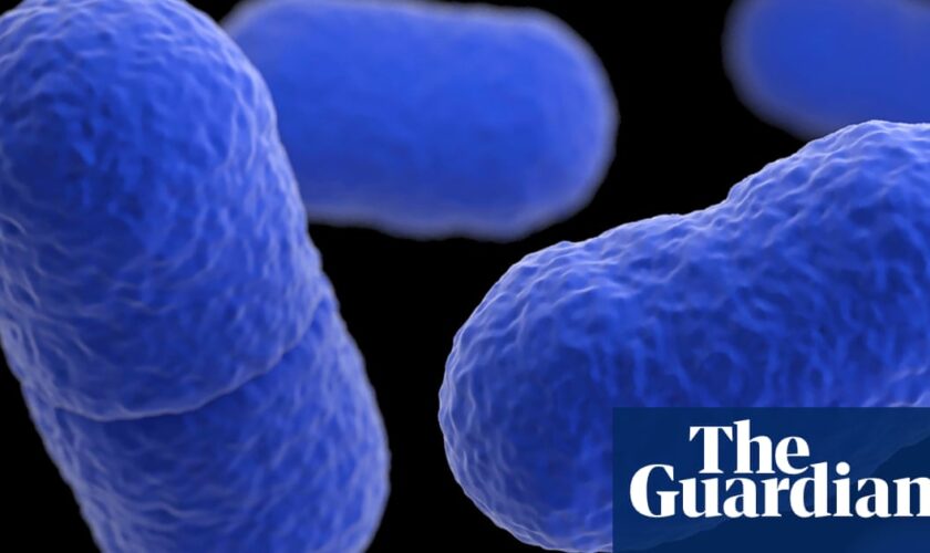 Nine people hospitalized in listeria outbreak linked to South Carolina food processor