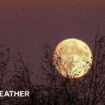 The nearly full Moon against a dark night sky