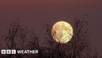 The nearly full Moon against a dark night sky