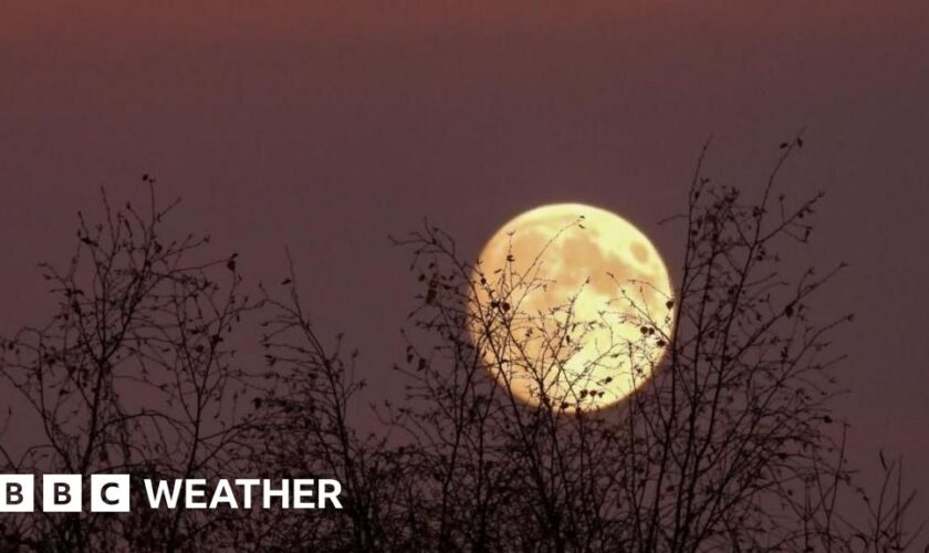 The nearly full Moon against a dark night sky