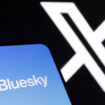 « On est orphelins de l’ancien Twitter » : pourquoi Bluesky plaît aux utilisateurs désenchantés de X