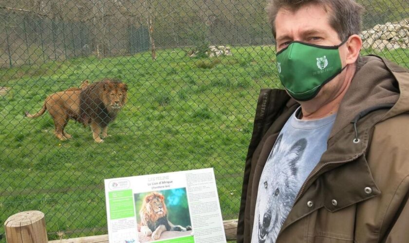 «On meurt !» : le directeur du Bois d’Attilly demande la réouverture des zoos