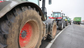 « On veut qu’il ne nous oublie pas » : les agriculteurs choisissent Vélizy-Villacoublay (et la N 118) pour interpeller Macron sur le Mercosur