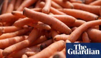 One dead and dozens infected in E coli outbreak linked to organic carrots in US