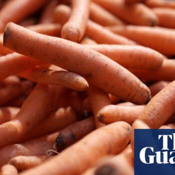 One dead and dozens infected in E coli outbreak linked to organic carrots in US