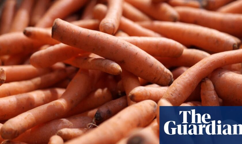 One dead and dozens infected in E coli outbreak linked to organic carrots in US