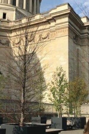 Paris : inquiétude autour des arbres en pot du Panthéon