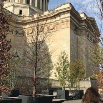 Paris : inquiétude autour des arbres en pot du Panthéon