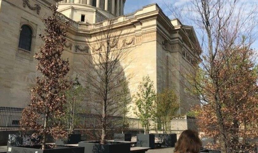 Paris : inquiétude autour des arbres en pot du Panthéon