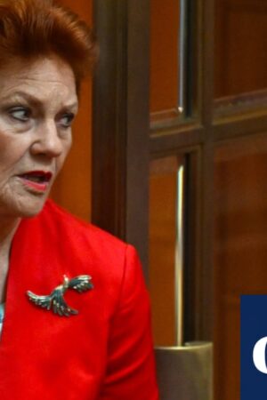 Pauline Hanson appeals court ruling she racially vilified Mehreen Faruqi