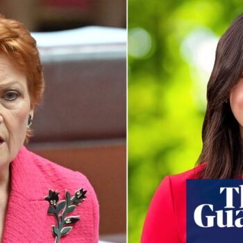 Pauline Hanson claims Brisbane councillor racially vilified her by calling One Nation ‘racist’