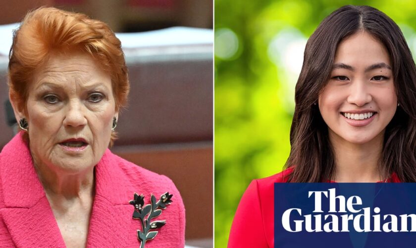 Pauline Hanson claims Brisbane councillor racially vilified her by calling One Nation ‘racist’