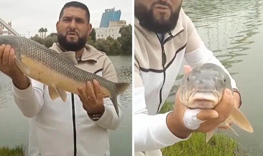 Pesca un barbo de más de 3 kilos en el Guadalquivir: «Mira qué cosa más grande»