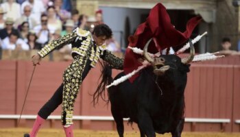 Ponce, Manzanares, Roca Rey... Todas las figuras del toreo rematan el gran cartel  por las víctimas de la DANA el próximo 1 de diciembre en Vistalegre