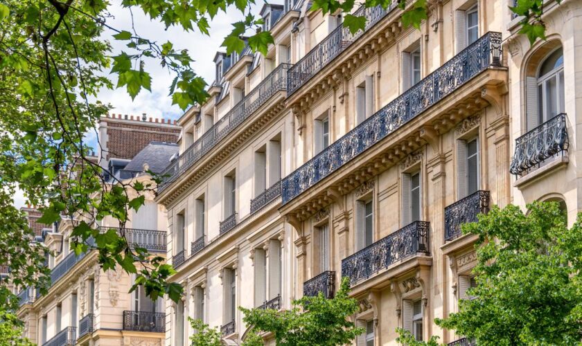 « Pour les propriétaires, c’est une sorte de hold-up ! » : ce «pastillage» de la mairie de Paris qui suscite la colère